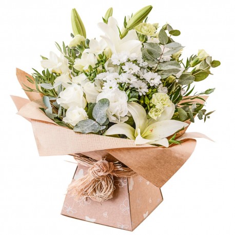 Evelyn vox box